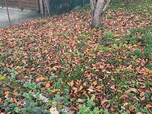 Terrain à bâtir / construire