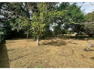 Terrrain 1200m2 muret centre