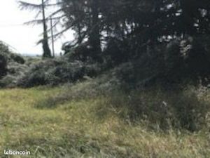 Vente terrain constructible RN7