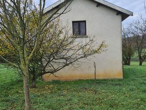 Terrain 1 hectare avec garage