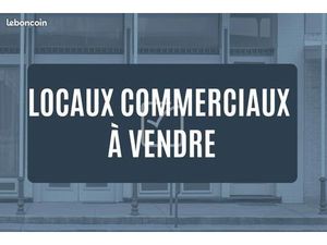 Ensemble immobilier – local commercial “tous commerces” + hangar + terrains – mardié (4543