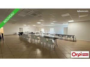 Local d'activité 453 m²