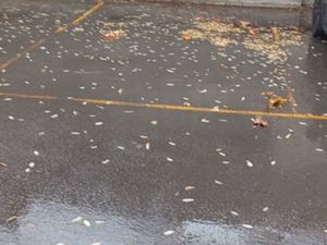 Vends place de parking