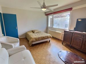 Beau grand T1 pas de travaux avec cave et garage