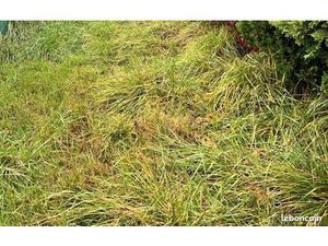 Terrain 730 m² Mios