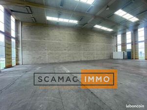 Local d'activité 980 m²