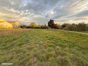 Terrain constructible