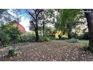 Terrain constructible