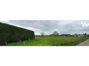 Terrain 1271 m² PERRIERS LA CAMPAGNE