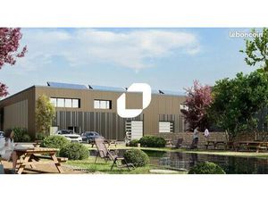 Local d'activité 780 m²