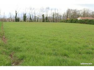 Terrain constructible