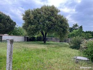 Terrain constructible 557m2  La Couarde-sur-mer
