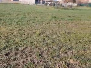 Terrain 500 m2 a vendre non constructible