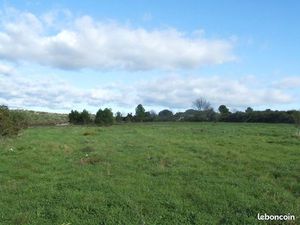 Grand terrain agricole de 5 03 hectares