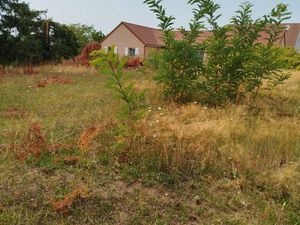 2370 M2 à 2 pas du centre ville