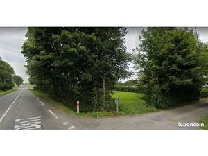 Lannemezan 5000m2 pour pro ou habitation