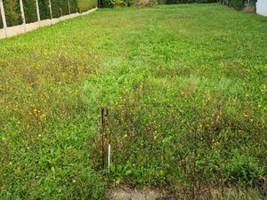 Terrain viabilisé 587 m²  centre ville de Ozoir-la-Ferrière dans une voie privée