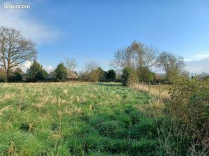 Terrain Viabilisé - Prêt à bâtir