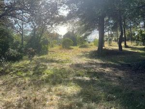 Terrain 543 m² Ollioules