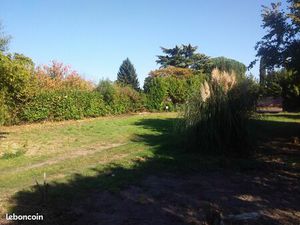 Grand terrain zone pavillonnaire