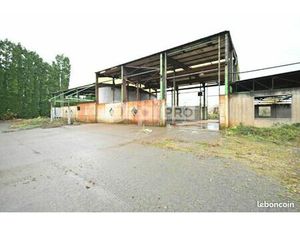 Local d'activité 782 m²