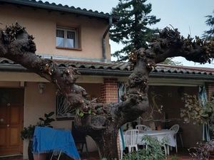 Maison quartier sept deniers