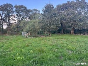 Terrain 529 m² Ferel