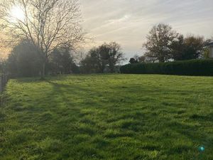 Terrain constructible