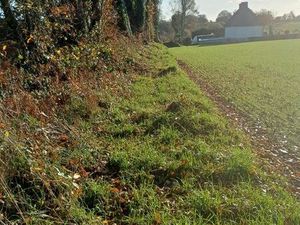Terrain et bâtiment