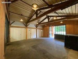 Local d’activité professionnel