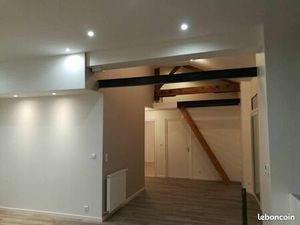 Appartement loft rdc avec terrasse