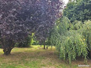 Plain pied individuel 140m2