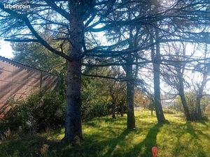 Terrain 730 m² La Teste De Buch