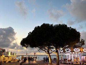 Rare. Boutique emplacement numéro un Le Moulleau