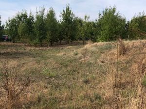 Terrain plat constructible de 1 634 m² – Proche Vézénobres