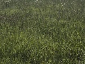 Terrain 770 m² Saint Cyr Des Gats