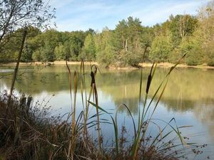 Propriété avec étang