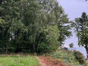 Vends terrain boisé