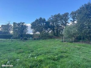 Terrain 613 m² Ferel