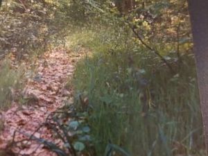 Terrain non constructible