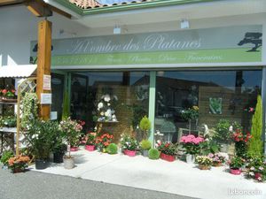 Fond de Commerce Fleuriste