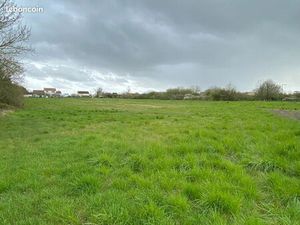 Terrain 5 007 m² Archigny