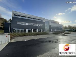 Bureaux 369 m² Mont-Saint-Aignan