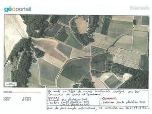 Ilot de vignes sur Cruzy/Quarante