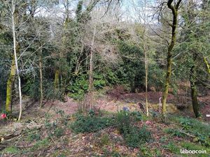 Terrain à vendre saint ave