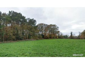 Terrain 540 m² Pluvigner