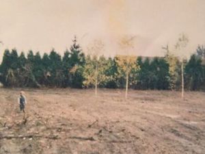 Terrain 6500m2 dép 72 Arnage