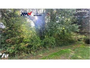 Terrain 3999 m² PRECIGNE