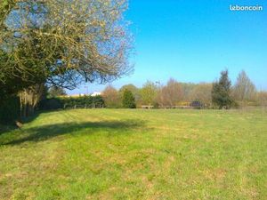 Terrain constructible