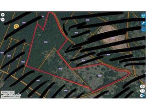Lot de 3 parcelles – 7 53 ha – Bois + prairie + bâtisse en pierre – Puylaroque (82240)